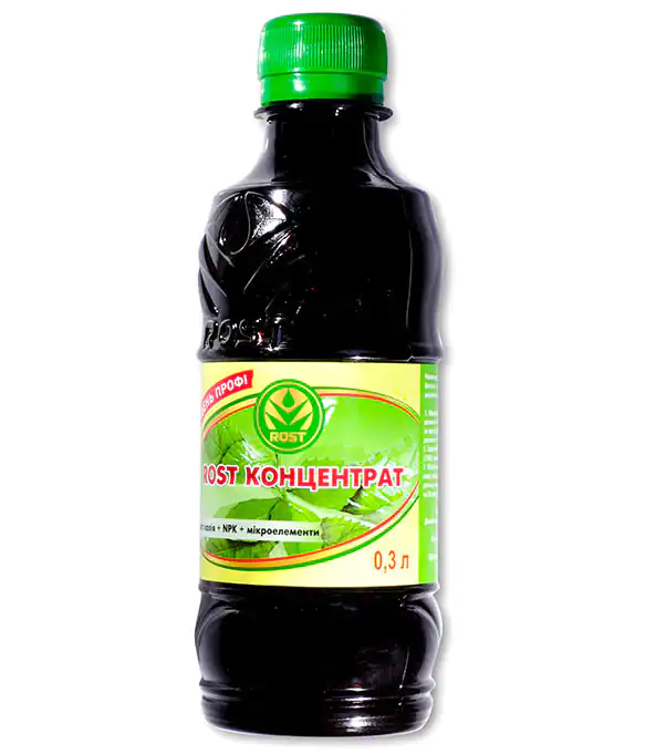 комментарий Фиалка