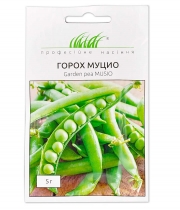 Горох Муцио