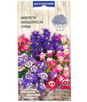Изображение товара Насіння квітів Аквілегія низькоросла суміш