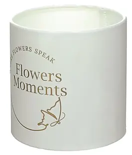 Коробка для цветов пластиковая Flowers Moments Белая/Бронза 100/100ая с узором коричневым №36
