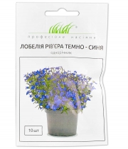 Изображение товара Насіння квітів Лобелія Рівера темно-синя