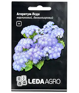 Агератум Лєда