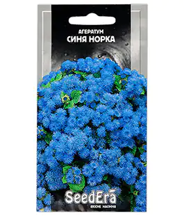 Изображение Агератум Синяя норка