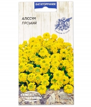 Изображение товара Семена цветов Алиссум Горный (Гмелина)