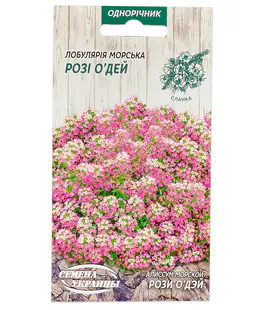 Изображение Алиссум Рози О
