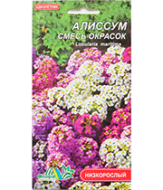 Изображение товара Семена цветов Алиссум ассортимент  
