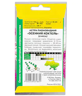 Астра Пионовидная Осенний Коктейль