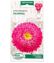 Изображение товара Семена цветов Астра Принцесса Малинка