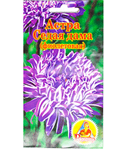 Изображение товара Семена цветов Астра Седая Дама Фиолетовая
