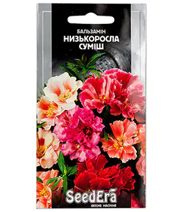 Бальзамин низкорослая смесь