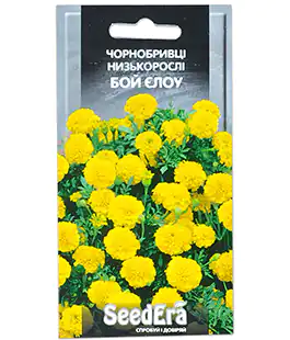 Чорнобривці Бой Єлоу