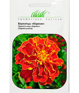 Чорнобривці Кармен
