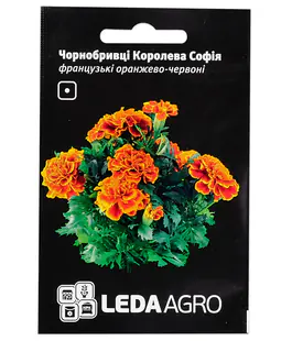 Бархатцы Королева София