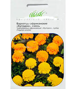 Бархатцы Купидон