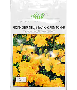 Бархатцы Малыш лимонные