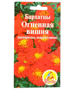 Бархатцы Огненная вишня