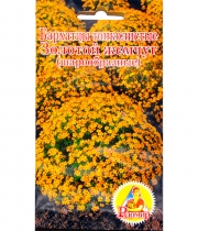 Изображение товара Семена цветов Бархатцы Золотая Жемчужина 