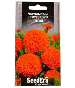 Бархатцы прямостоячие Гавайи