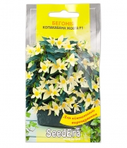 Изображение товара Семена цветов Бегония Копакабана жовта