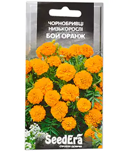 Бархатцы Бой оранж