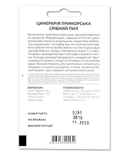 Цинерарія Срібний пил