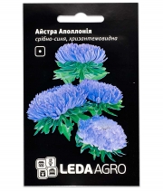 Семена цветов Астра Апполония серебряно-синяя