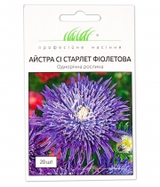 Изображение товара Семена цветов Астра Си Старлет Фиолетова
