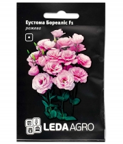 Изображение товара Семена цветов Эустома Бореалис розовая F1 