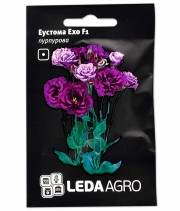 Изображение товара Семена цветов Эустома Эхо пурпурная F1