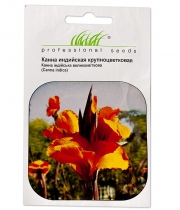 Изображение товара Семена цветов Канна Индийская Крупноцветковая смесь