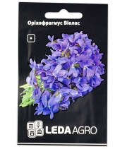 Изображение товара Семена цветов Орихофрагмус Виолас синий 