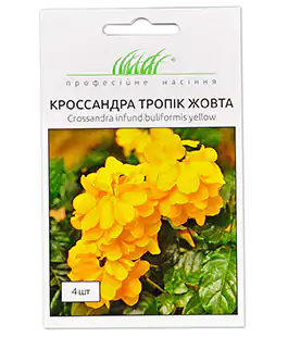 Изображение Цветы Кроссандра Тропик желтая