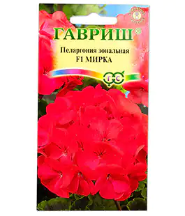 Изображение Цветы Пеларгония Мирка F1 4шт.гав