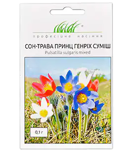 Сон-трава Принц Генріх