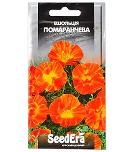 Изображение Ешшольція Каліфорнійська Помаранчева