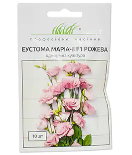 Изображение Еустома Маріачі Рожева