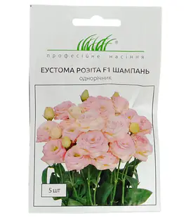 Изображение Еустома Розіта Шампань