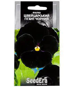 Фіалка Швейцарський гігант чорний