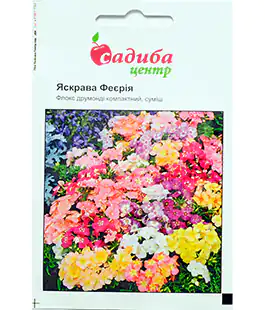 Флокс Яскрава Феєрія
