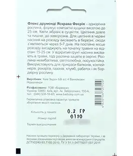 Флокс Яскрава Феєрія