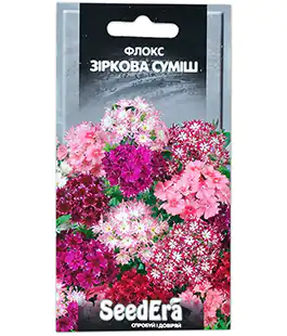 Флокс Зіркова суміш
