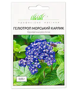 Гелиотроп Морской карлик
