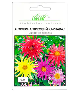 Георгина Карнавал