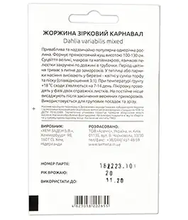 Георгина Карнавал
