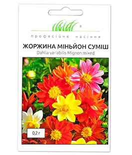 Георгина Миньон смесь