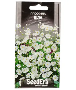 Гіпсофіла Елегантна Біла