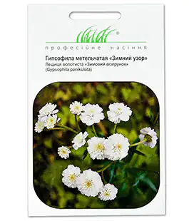 Гіпсофіла Зимовий візерунок