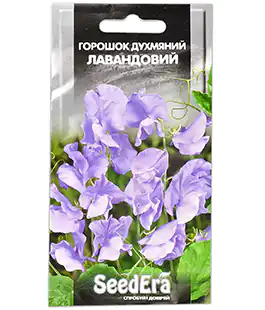 Горошек душистый Лавандовый