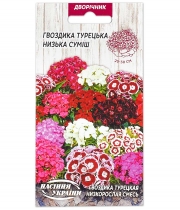 Изображение товара Гвоздика Турецкая низкая смесь