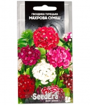 Изображение товара Семена цветов Гвоздика Турецкая махровая смесь